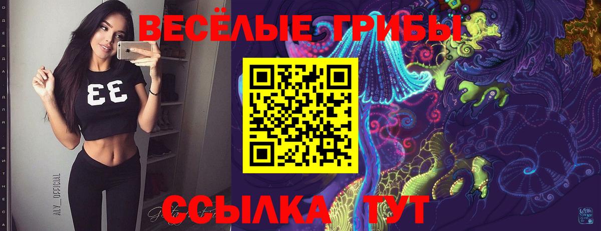 Галлюциногенные грибы мицелий  Псилоцибиновые грибы MAGIC MUSHROOMS  Арзамас  Вход с VPN 