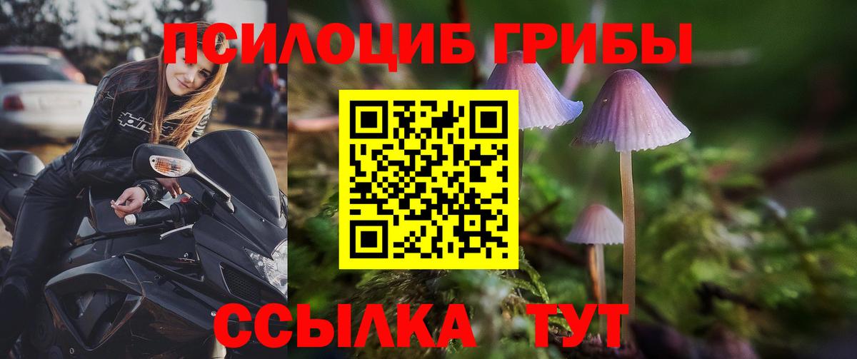 Галлюциногенные грибы GOLDEN TEACHER Арзамас